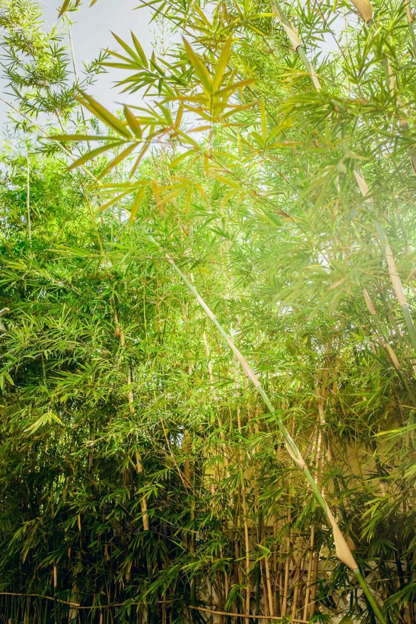 Chau Plus Homestay Hoi An Exteriör bild